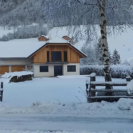 Apartmán Davidhof *