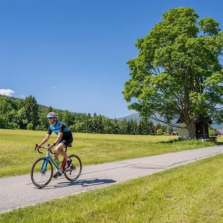 Davidhof Apartment *